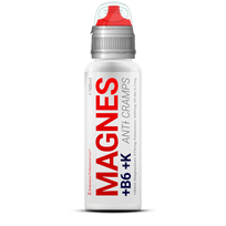 Dion MAGNES +B6 +K REFILL 1000 ml Citrusų sk.