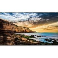 Monitor Samsung QE65T (LH65QETEPGCXEN) | LH65QETEPGCXEN | 8806090557941