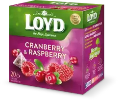 Loyd Fruit tea Pyramids with cranberry and raspberry flavor, 20x2 g