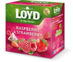 Loyd Fruit tea Pyramids with raspberry and strawberry flavor, 20x2 g