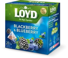 Loyd Fruit tea Pyramids with blueberry and raspberry flavor, 20x2 g