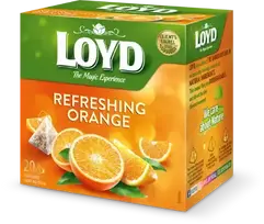 Loyd Fruit tea Pyramids Fresh Orange, 20x2.2 g