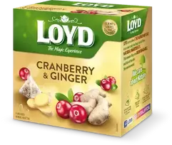 Loyd Fruit tea Pyramids with cranberry and ginger flavor, 20x2 g