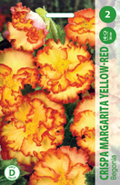 Kalijų svogūnėlis, lot. Zantedeschia Carmin Red