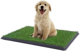Žolės patiesalo dėžė šuniukams ir suaugusiems šunims Pet Pooty XL 76x50x3 cm