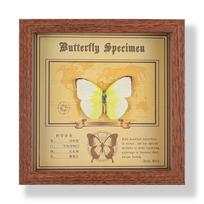 Tikro drugelio eksponato nuotraukų rėmelis, dekoratyvinis paveikslas, 3D ornamentas, rankų darbo pasidaryk pats, gimtadienio dovana, vabzdžio eksponatas brown frame