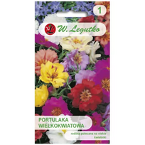 Didelio žiedo portulaka mišinys, pusiau dviguba