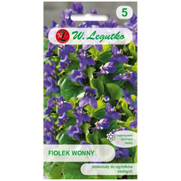 Saldus violetas - violetinis