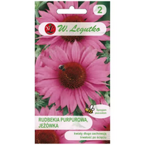 Purpurinė ežiuolė, Echinacea - rožinė