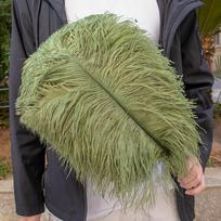 15-55cm Žalios Mėlynos Stručio Plunksnos Dekoravimui Karnavalui Vestuvėms Šventei Namų Stalo Puošybos Aksesuarai Plumas decorativas 6-8inch 15-20cm ežero mėlyna spalva