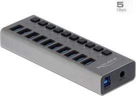Delock External 5Gbps USB Hub with 10 Ports + Switch