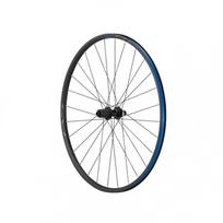 Dviračio ratas SHIMANO WH-RS171-CL-F12-700C 28" Front