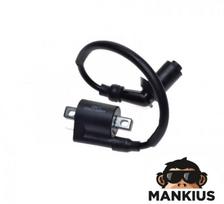 Uždegimo ritė ATV BASHAN BS250S-5