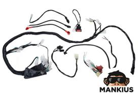 Laidynas ATV BASHAN BS250S-5