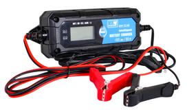Akumuliatorių pakrovėjas LCD 6V I 12V