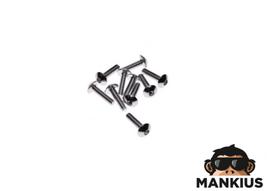 ALIUMINIŲ JUODŲ VARŽTŲ KOMPLEKTAS 5X20 SILVER 10 PCS PACK