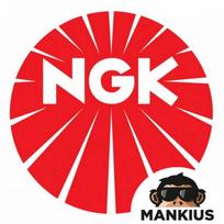 Degimo žvakė CR9EIX 3521  NGK ( IU27 )
