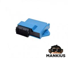 ECU Komutatorius RIEJU POWER UP 50 E4