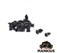 Padangų remonto vinukų rinkinys 20 PCS