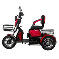 Elektrinis triratis motoroleris M20 1000W 20Ah
