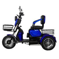 Elektrinis triratis motoroleris M20L 1000W 20Ah LI-ION