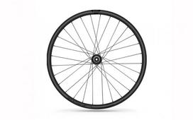 Ratas priekinis 700C Ready 19 ASY 12x100 Center Lock SB