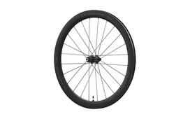 Ratas galinis 28" WH-R8170-C50 Ultegra