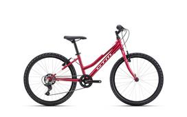 Dviratis Mony 24"