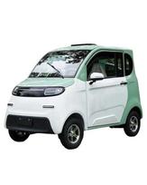 Elektrinis keturratis mini automobilis FL-08 1Kw 58AH 60v