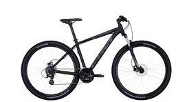 Dviratis 29 Bulls Wildtail 2 Disc vyr. 24g juodas matinis - m