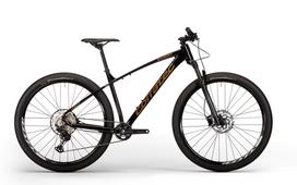 Dviratis Corratec X-Vert Pro Team 29"