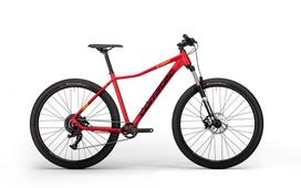 Dviratis Corratec X-Vert Expert 29"