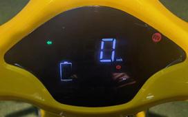 DAYI MOTOR E-BIENE motorolerio skydelis