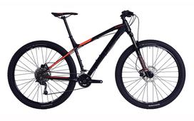Dviratis MTB 29", X Vert Expert