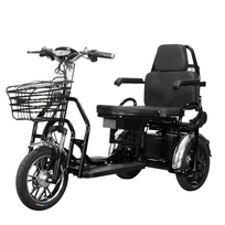 Elektrinis sulankstomas triratis motoroleris M7, 0,5kW 12AH Ličio jonų eMoto