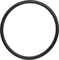 O-RING EXH TRX250R
