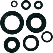 MTR SEALS ATC/TRX 250
