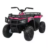 Quad 4x4 ATV WOLF Rožinis
