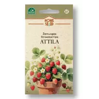 Žemuogės Attila 0.1g