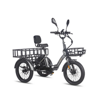 FAFREES F20 Mate teisėtas miesto elektrinis triratis (L2e-P sertifikatas)