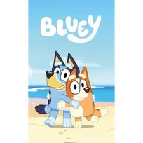 Bluey Cozy rankšluostis rankoms, 30x50 cm