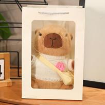Capibara Capybara Doll Plush Toy Clothing Capybara Sleeping Pillow Ragdoll Funny Birthday Gift 23cm0.15kg
