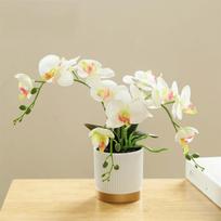 Phalaenopsis gėlė Šilkinė drugelio orchidėja Kambarinis augalas Dirbtinė Phalaenopsis Nauja bonsų orchidėja rožinė raudona spalva