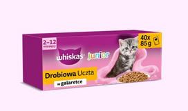 WHISKAS Junior Poultry Feast in Jelly – šlapias kačių maistas – 40x85 g + Staigmena katei