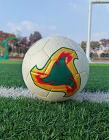 Pasaulio taurė Nr. 5 Futbolo Skraidantis Ugnies Meteoras Sprogimui Atsparus Dilimui Atsparus PU Suaugusiųjų Studentų Varžybų Treniruočių Futbolas No. 5 ball (for regular 11-a-side use) auksas