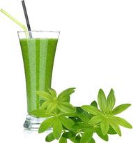 "Waldmeister Luxofit" išrūgų milteliai, praturtinti L-karnitinu Baltymų sveikatingumo gėrimas Išrūgos be aspartamo (Woodrug, 10 kg)