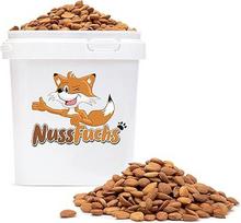 Abrikosų branduoliai kartūs 1 kg kartūs sveiki abrikosų branduoliai nesūdyti neskrudinti natūralios neskaldytos sėklos ypač daug kartumo - 100 % natūralus neapdorotas natūralus produktas (1 kg)