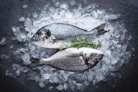 Dorada | Visa dorada | Išskyrus ir šermukšnius | Greitasis atšaldytas pristatymas | 500g | Geriausia kokybė | Vakuuminė pakuotė | delishopper