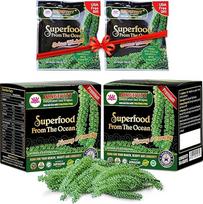 Ilgaamžiškumo jūros vynuogės | Jūros vynuogės | Umibudo vynuogių jūros dumbliai 12 x 20 g | Žalias maistas | Veganiški ikrai | Traškioms salotoms