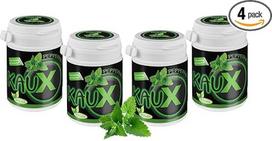 kauX Xylitol Dental Care kramtomoji guma be aspartamo, 4 vnt., pipirmėtės (60 g = 40 vnt. skardinėje)
